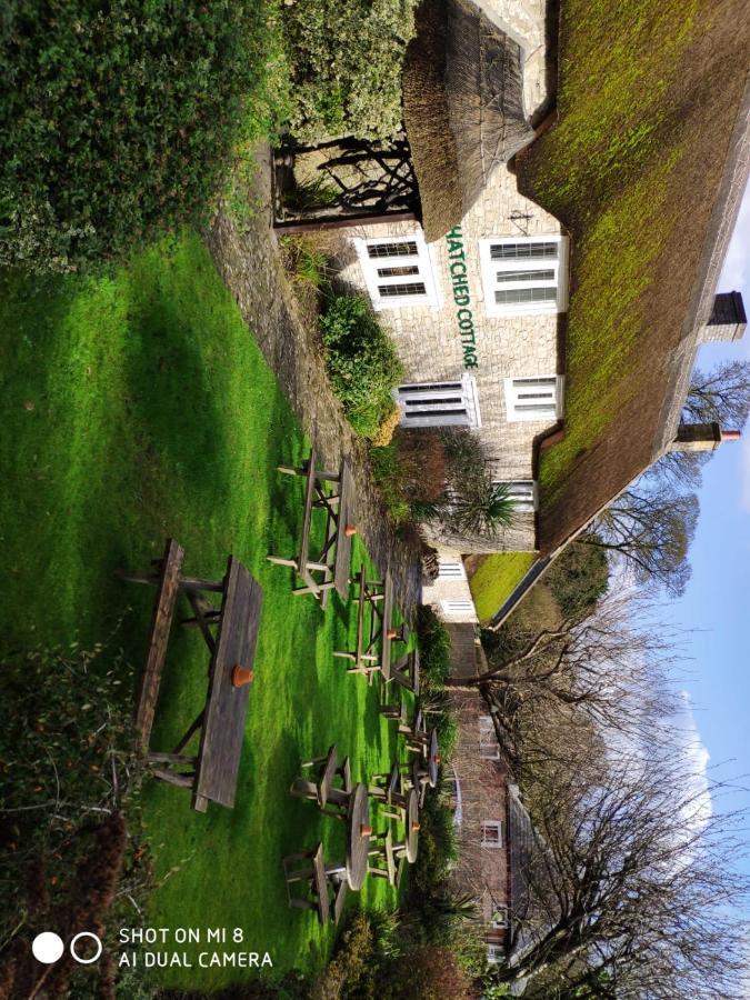 Thatched Cottage Shepton Mallet Exterior photo